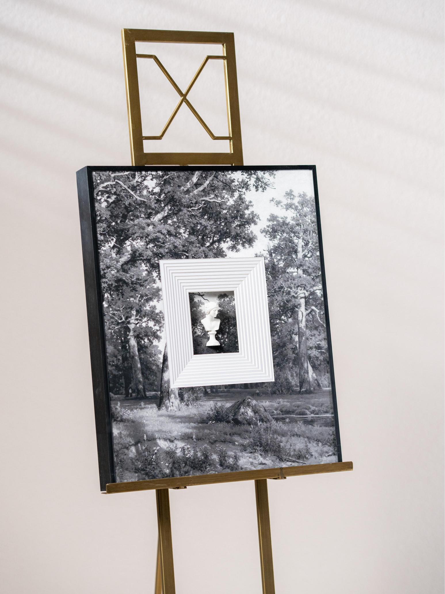 Monochrome Forest 3D Art Frame